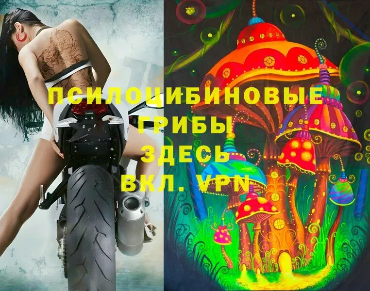 Галлюциногенные грибы MAGIC MUSHROOMS  как найти наркотики  Невинномысск 